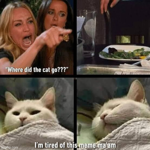 Where did the cat go? | image tagged in woman yelling at cat | made w/ Imgflip meme maker