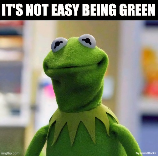 KermitRocks | image tagged in memes | made w/ Imgflip meme maker