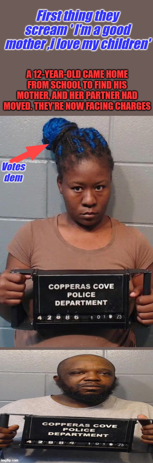 Irresponsible parents are major problem; Maybe require license or institute tnr program. DEMS love more gov. programs. | First thing they scream ' I'm a good mother ,i love my children'; A 12-YEAR-OLD CAME HOME FROM SCHOOL TO FIND HIS MOTHER, AND HER PARTNER HAD MOVED. THEY’RE NOW FACING CHARGES; Votes dem | made w/ Imgflip meme maker
