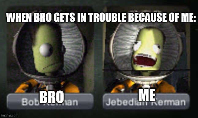 Me and bro be like | WHEN BRO GETS IN TROUBLE BECAUSE OF ME:; ME; BRO | image tagged in ksp | made w/ Imgflip meme maker