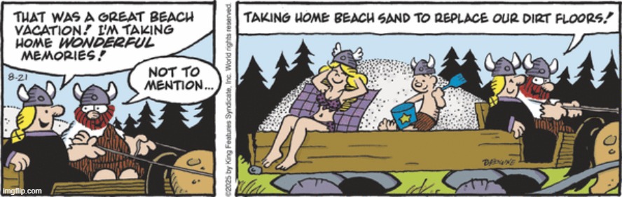 Hagar The Horrible | image tagged in comics | made w/ Imgflip meme maker