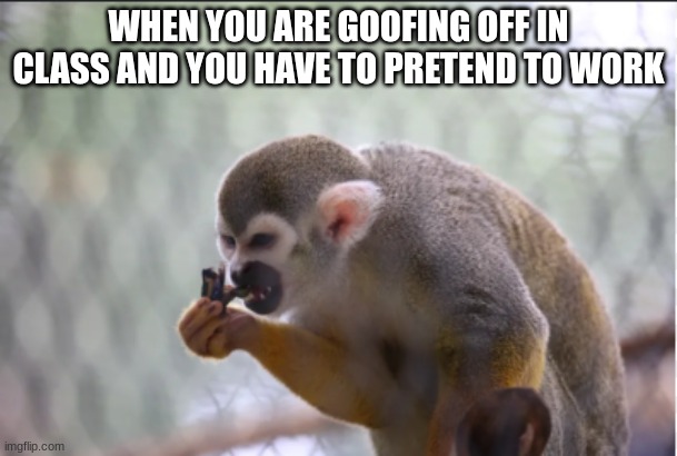 Greedy Monkey | WHEN YOU ARE GOOFING OFF IN CLASS AND YOU HAVE TO PRETEND TO WORK | image tagged in greedy monkey | made w/ Imgflip meme maker