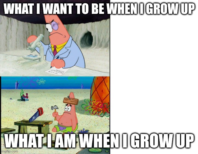 Scientist Patrick | WHAT I WANT TO BE WHEN I GROW UP; WHAT I AM WHEN I GROW UP | image tagged in scientist patrick | made w/ Imgflip meme maker
