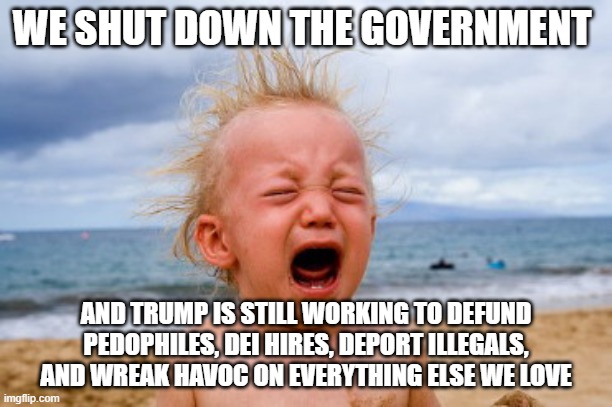 Give the democrats a binkie | WE SHUT DOWN THE GOVERNMENT; AND TRUMP IS STILL WORKING TO DEFUND PEDOPHILES, DEI HIRES, DEPORT ILLEGALS, AND WREAK HAVOC ON EVERYTHING ELSE WE LOVE | image tagged in scared crying child,democrat shutdown,crying democrats,democrat war on america,doge,maga | made w/ Imgflip meme maker