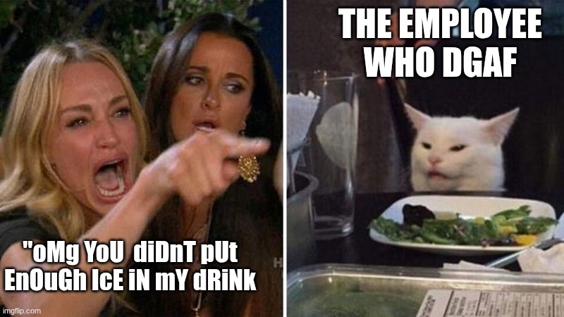 Image Title | THE EMPLOYEE WHO DGAF; "oMg YoU  diDnT pUt EnOuGh IcE iN mY dRiNk | image tagged in crying woman vs cat,funny,relatable,karens,customer service | made w/ Imgflip meme maker