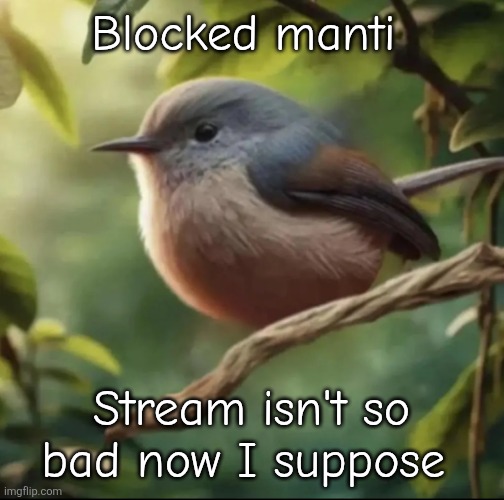 No balls | Blocked manti; Stream isn't so bad now I suppose | image tagged in no balls | made w/ Imgflip meme maker