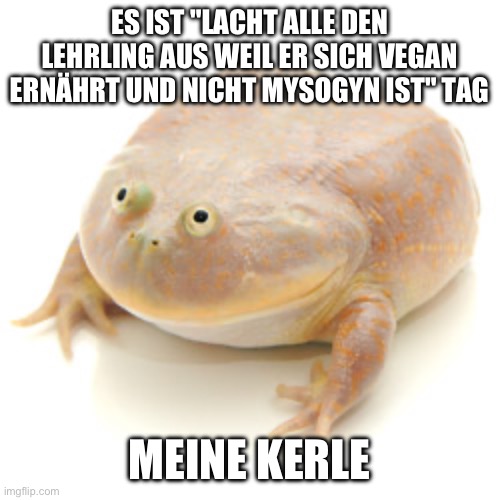 It is wednesday my dudes | ES IST "LACHT ALLE DEN LEHRLING AUS WEIL ER SICH VEGAN ERNÄHRT UND NICHT MYSOGYN IST" TAG; MEINE KERLE | image tagged in it is wednesday my dudes | made w/ Imgflip meme maker