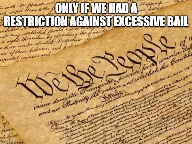 Constitution | ONLY IF WE HAD A RESTRICTION AGAINST EXCESSIVE BAIL | image tagged in constitution | made w/ Imgflip meme maker