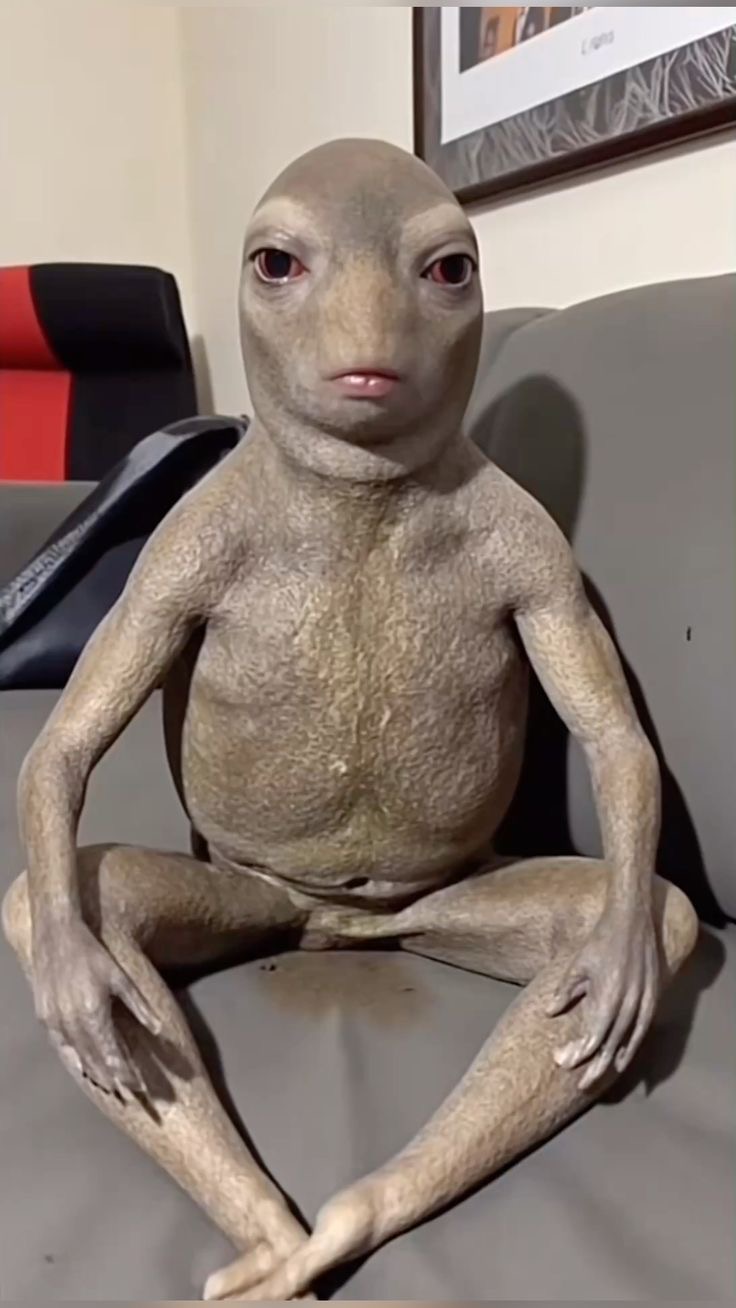 Ugly Alien Blank Meme Template