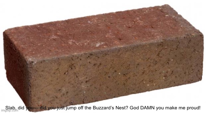 Unfathomably bad joke | Slab, did you— did you just jump off the Buzzard’s Nest? God DAMN you make me proud! | image tagged in brick | made w/ Imgflip meme maker