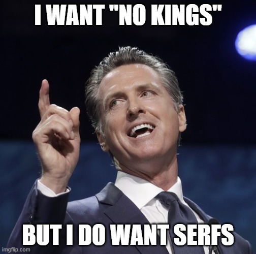 Gavin newsom | I WANT "NO KINGS"; BUT I DO WANT SERFS | image tagged in gavin newsom | made w/ Imgflip meme maker