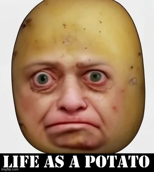 "At Last! I've captured Zee True Feelingz of Zee Potato." -Frenchy | image tagged in vince vance,potato,potatoes,funny face,deep feelings,memes | made w/ Imgflip meme maker