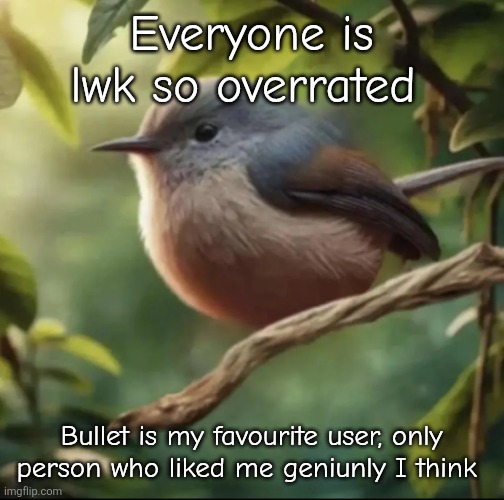 Everyone hates me, no one loves me, the world is so cruel | Everyone is lwk so overrated; Bullet is my favourite user, only person who liked me geniunly I think | image tagged in no balls | made w/ Imgflip meme maker