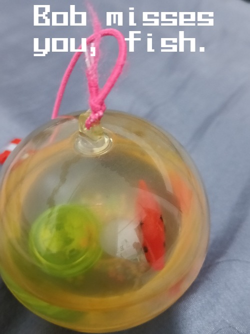 Paintedfish will be missed :( | Bob misses you, fish. | made w/ Imgflip meme maker