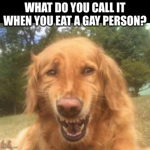 Answer is in comments | WHAT DO YOU CALL IT WHEN YOU EAT A GAY PERSON? | image tagged in fake laugh dog | made w/ Imgflip meme maker
