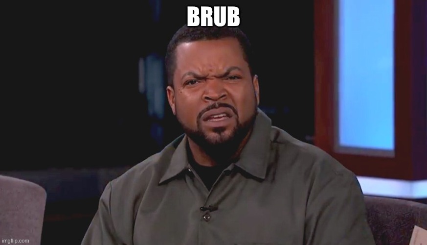 Really? Ice Cube | BRUB | image tagged in really ice cube | made w/ Imgflip meme maker