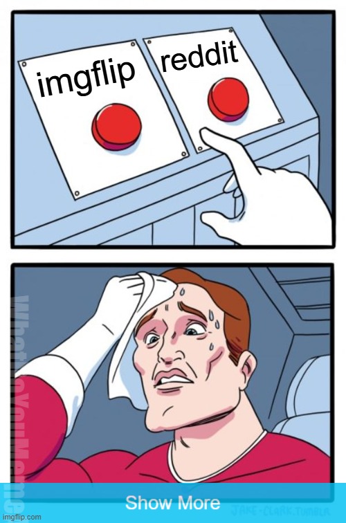 Big difference between the two | reddit; imgflip; WhatDoYouMemeAnyway | image tagged in memes,two buttons | made w/ Imgflip meme maker
