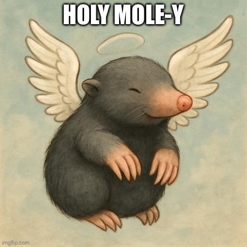 Mole with angel wings | HOLY MOLE-Y | image tagged in mole with angel wings | made w/ Imgflip meme maker