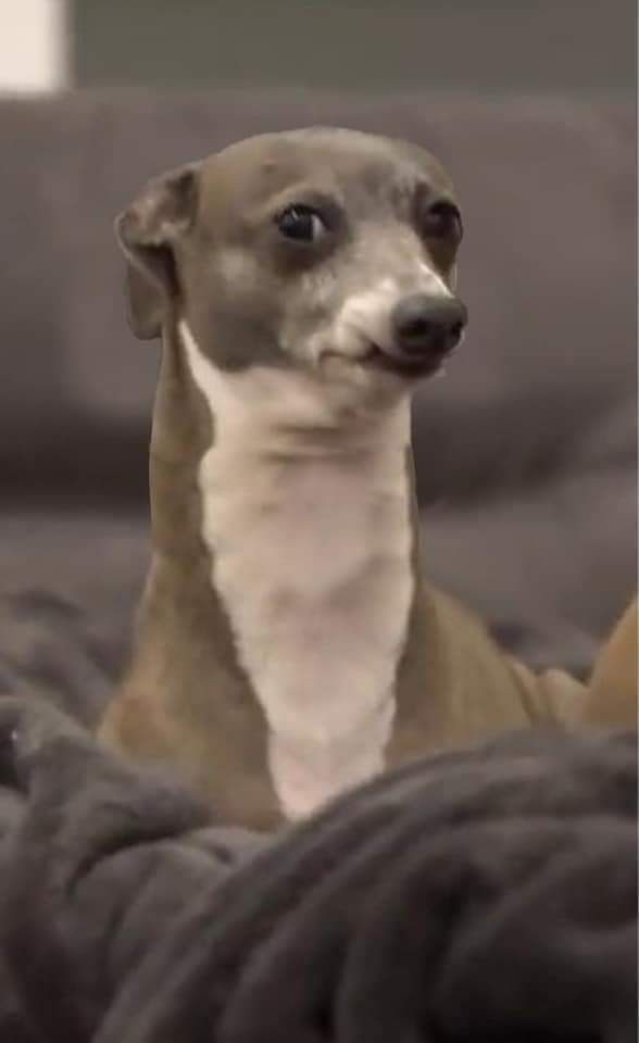 My face when Blank Meme Template