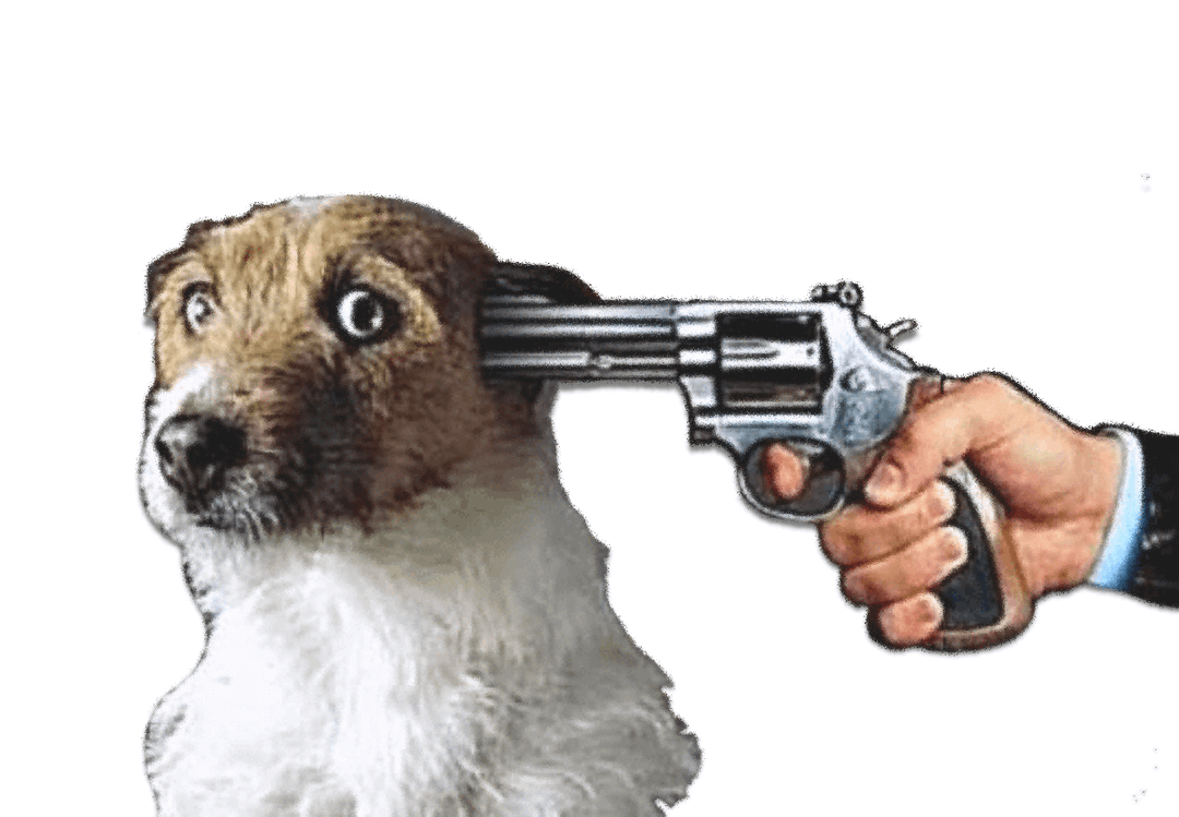 gun to dog's head Blank Meme Template