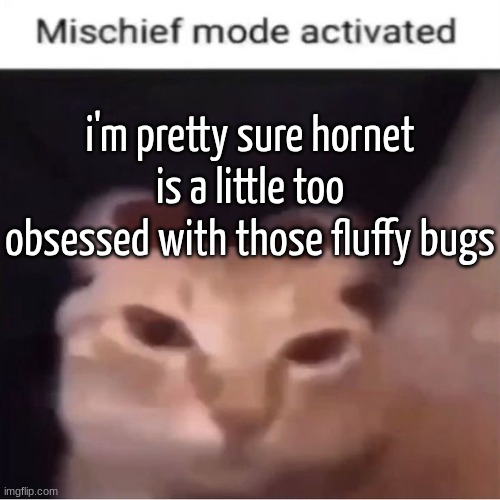 i'm pretty sure hornet is a little too obsessed with those fluffy bugs | made w/ Imgflip meme maker
