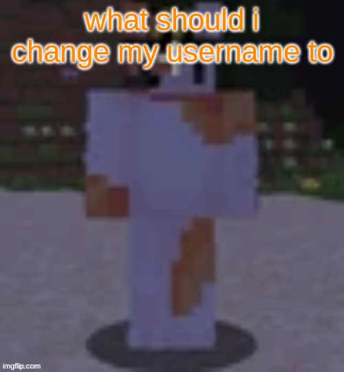 Nox | what should i change my username to | image tagged in nox | made w/ Imgflip meme maker