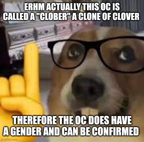nerd dog | ERHM ACTUALLY THIS OC IS CALLED A "CLOBER" A CLONE OF CLOVER THEREFORE THE OC DOES HAVE A GENDER AND CAN BE CONFIRMED | image tagged in nerd dog | made w/ Imgflip meme maker