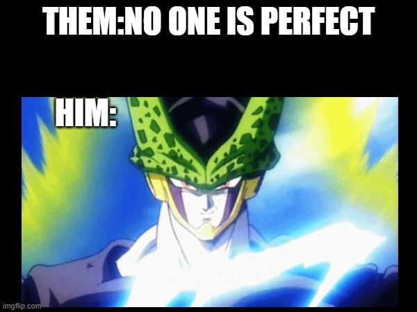 hehehaha | THEM:NO ONE IS PERFECT; HIM: | image tagged in dragon ball | made w/ Imgflip meme maker