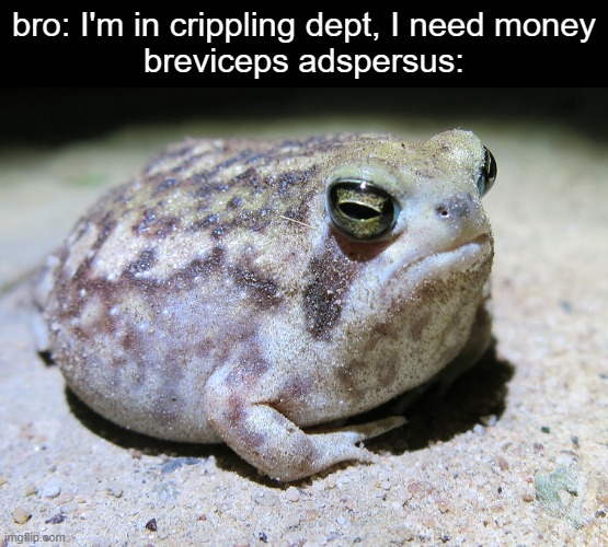 breviceps adspersus | bro: I'm in crippling dept, I need money
breviceps adspersus: | image tagged in shitpost | made w/ Imgflip meme maker