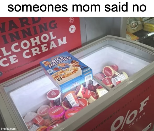 No | someones mom said no | image tagged in memes | made w/ Imgflip meme maker