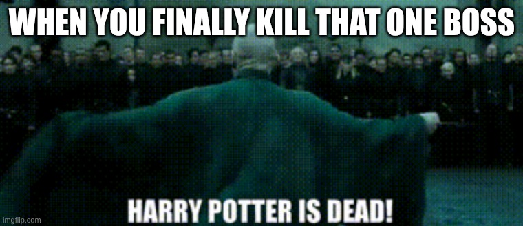 FINALLY | WHEN YOU FINALLY KILL THAT ONE BOSS | image tagged in harry potter,funny | made w/ Imgflip meme maker