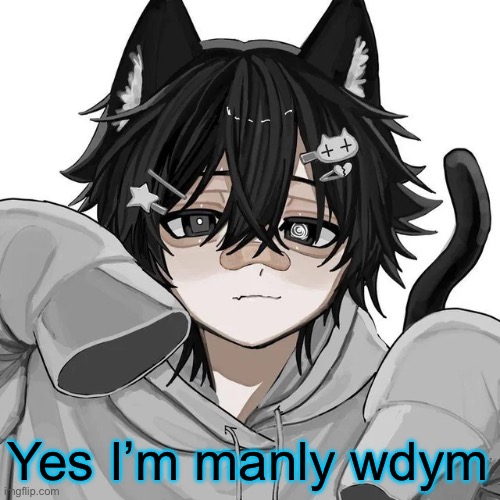 tfym I ain't masculine? | Yes I’m manly wdym | image tagged in tfym i ain't masculine | made w/ Imgflip meme maker
