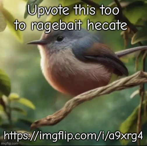 #HateHecate | Upvote this too to ragebait hecate; https://imgflip.com/i/a9xrg4 | image tagged in no balls | made w/ Imgflip meme maker