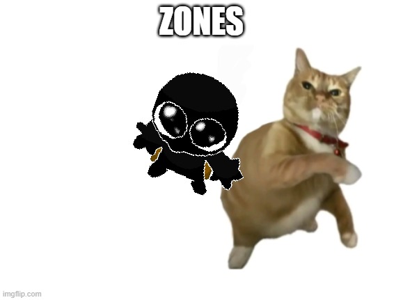 throwing cat new | ZONES | image tagged in throwing cat new | made w/ Imgflip meme maker