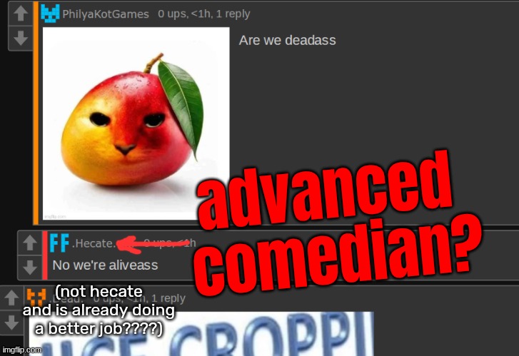 made w/ Imgflip meme maker