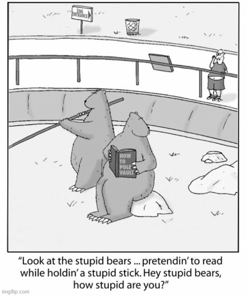Stupid Bears | image tagged in comics | made w/ Imgflip meme maker