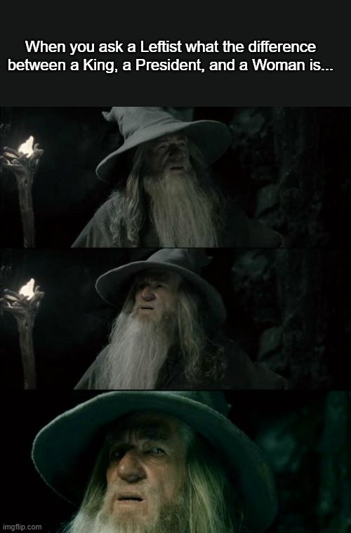 Confused Gandalf Meme | When you ask a Leftist what the difference between a King, a President, and a Woman is... | image tagged in memes,confused gandalf | made w/ Imgflip meme maker