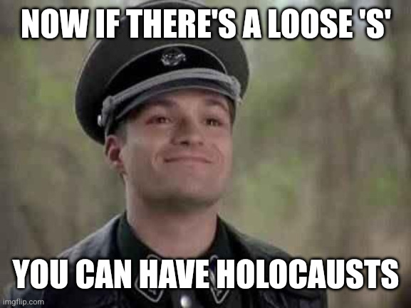 grammar nazi | NOW IF THERE'S A LOOSE 'S' YOU CAN HAVE HOLOCAUSTS | image tagged in grammar nazi | made w/ Imgflip meme maker