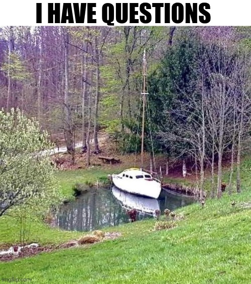 I Have Questions | I HAVE QUESTIONS | image tagged in chrisjoines1 | made w/ Imgflip meme maker