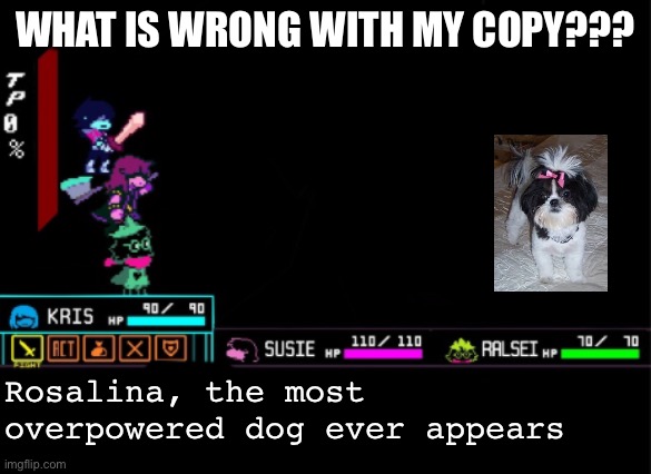 Got that dawg inside my game | WHAT IS WRONG WITH MY COPY??? Rosalina, the most overpowered dog ever appears | image tagged in blank deltarune battle | made w/ Imgflip meme maker
