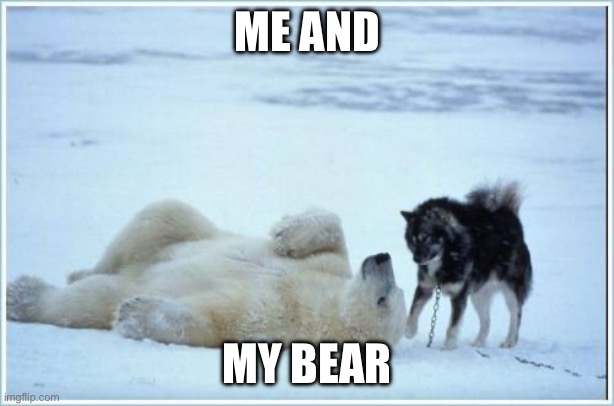 very true, he’s amazing like that | ME AND; MY BEAR | image tagged in bear | made w/ Imgflip meme maker