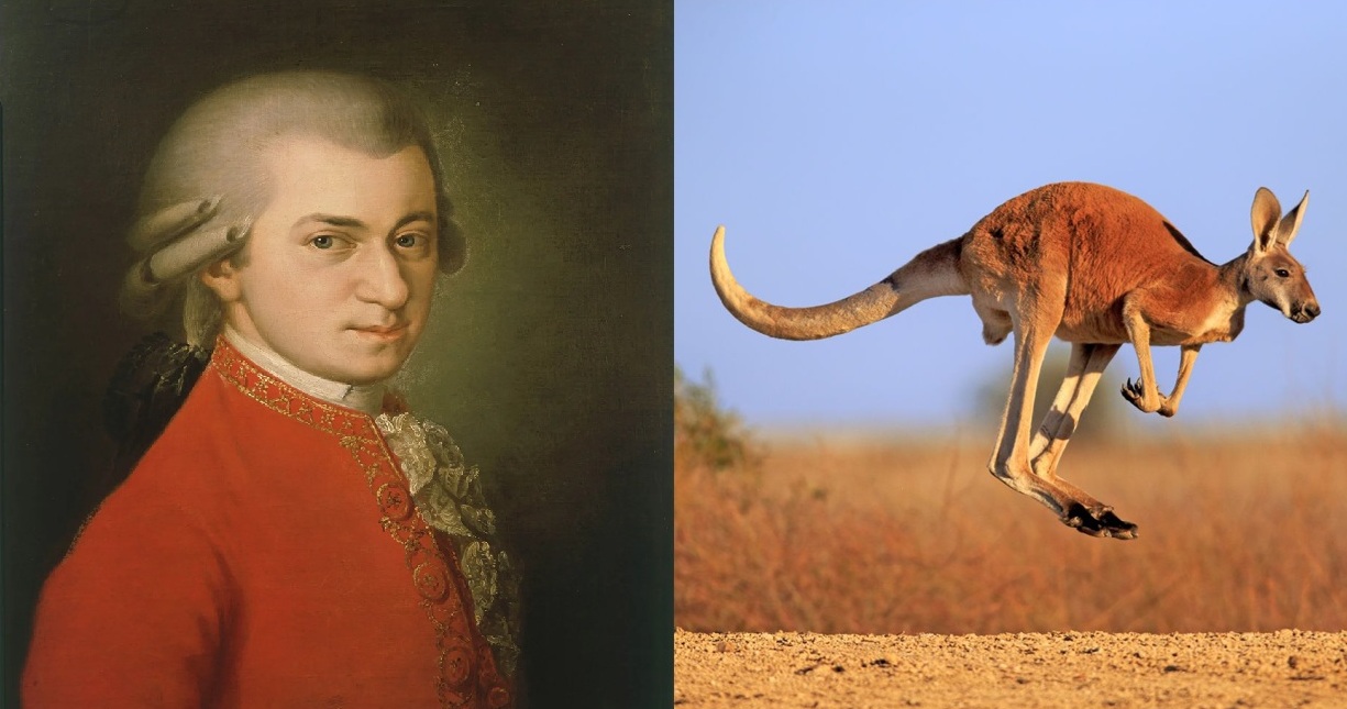 Mozart vs Kangaroo (fixed) Blank Meme Template