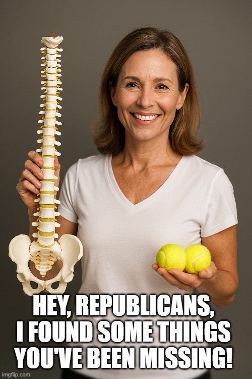 Lost and Found | HEY, REPUBLICANS, I FOUND SOME THINGS YOU'VE BEEN MISSING! | image tagged in donald trump | made w/ Imgflip meme maker