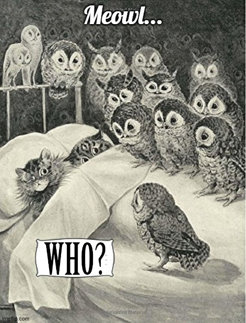 Scaredy Cats | Meowl... | image tagged in vince vance,cats,owls,the birds,scared cat,bedtime | made w/ Imgflip meme maker