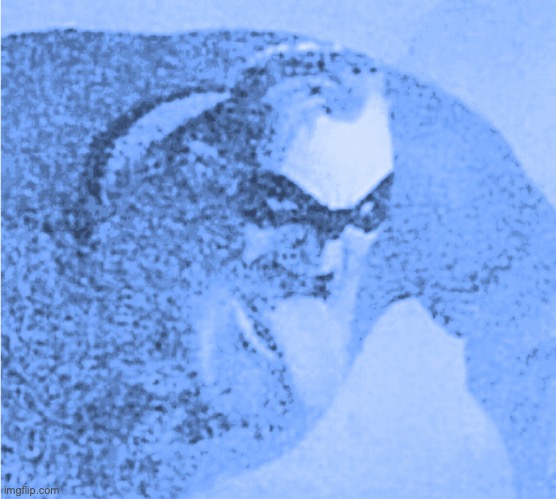 This stream needs a non-aligned super-powered active combatant! | made w/ Imgflip meme maker