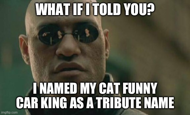 My Cat Pillow Had 4 Kids & I Named One Of The Boys Funny Car King | WHAT IF I TOLD YOU? I NAMED MY CAT FUNNY CAR KING AS A TRIBUTE NAME | image tagged in memes,matrix morpheus | made w/ Imgflip meme maker