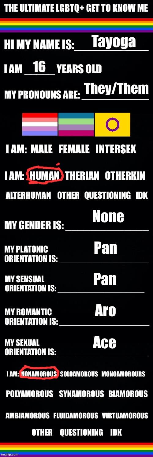 I feel like I should probably do some sorta intro since I comment here, so hi :) | Tayoga; 16; They/Them; None; Pan; Pan; Aro; Ace | image tagged in the ultimate lgbtq get to know me | made w/ Imgflip meme maker