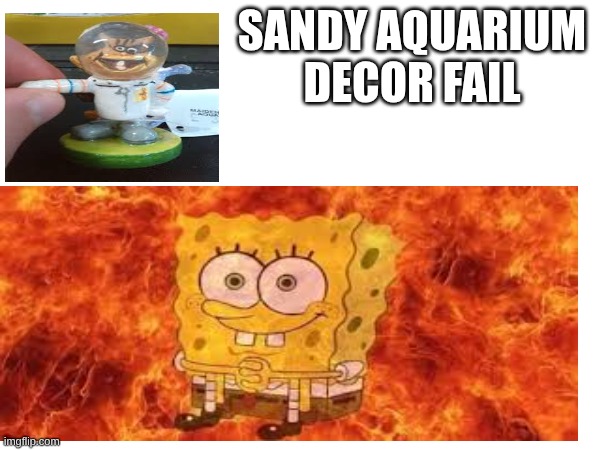 Sandy aquarium decor fail | SANDY AQUARIUM DECOR FAIL | image tagged in you had one job | made w/ Imgflip meme maker