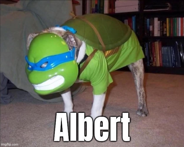 Albert | Albert | image tagged in albert | made w/ Imgflip meme maker