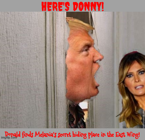 Donny finds Melania's hiding place | HERE'S DONNY! Donald finds Melania's secret hiding place in the East Wing! | image tagged in donny finds melania's hiding place,east wing,here's johnny,peek-a-boo,maga monster,the shining | made w/ Imgflip meme maker